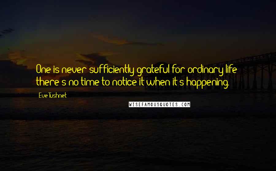 Eve Tushnet Quotes: One is never sufficiently grateful for ordinary life; there's no time to notice it when it's happening.