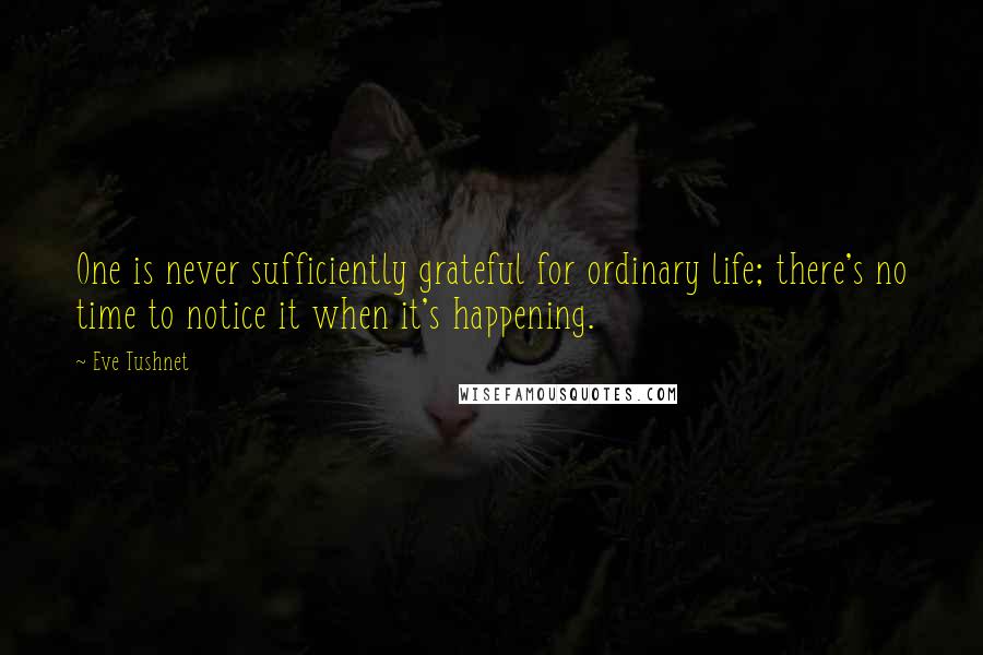 Eve Tushnet Quotes: One is never sufficiently grateful for ordinary life; there's no time to notice it when it's happening.