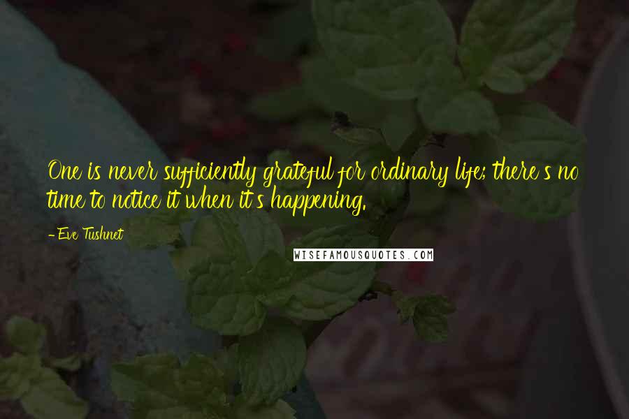 Eve Tushnet Quotes: One is never sufficiently grateful for ordinary life; there's no time to notice it when it's happening.