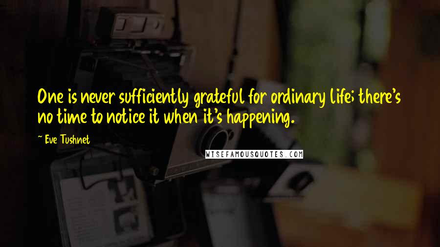 Eve Tushnet Quotes: One is never sufficiently grateful for ordinary life; there's no time to notice it when it's happening.