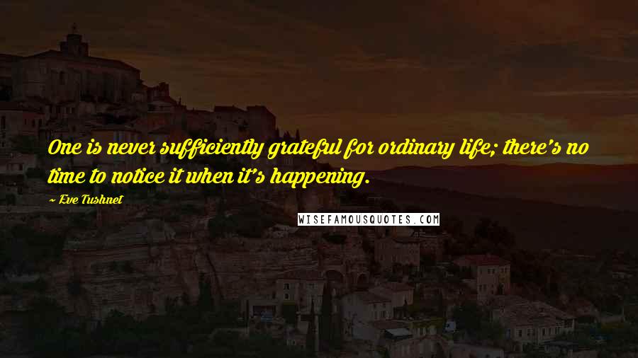 Eve Tushnet Quotes: One is never sufficiently grateful for ordinary life; there's no time to notice it when it's happening.