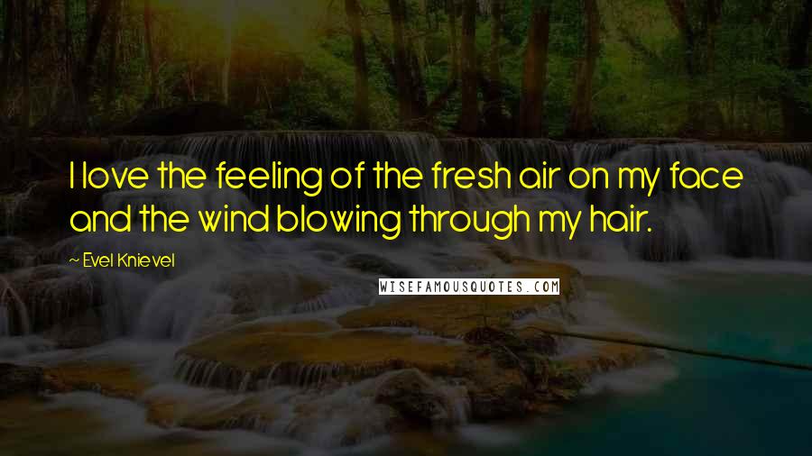 Evel Knievel Quotes: I love the feeling of the fresh air on my face and the wind blowing through my hair.