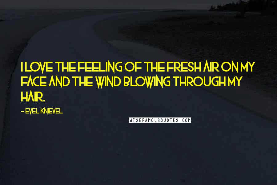 Evel Knievel Quotes: I love the feeling of the fresh air on my face and the wind blowing through my hair.