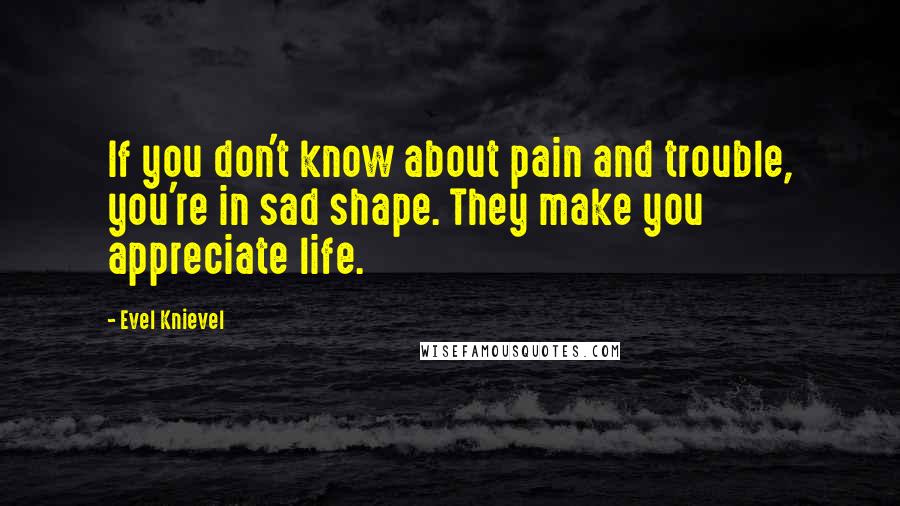 Evel Knievel Quotes: If you don't know about pain and trouble, you're in sad shape. They make you appreciate life.