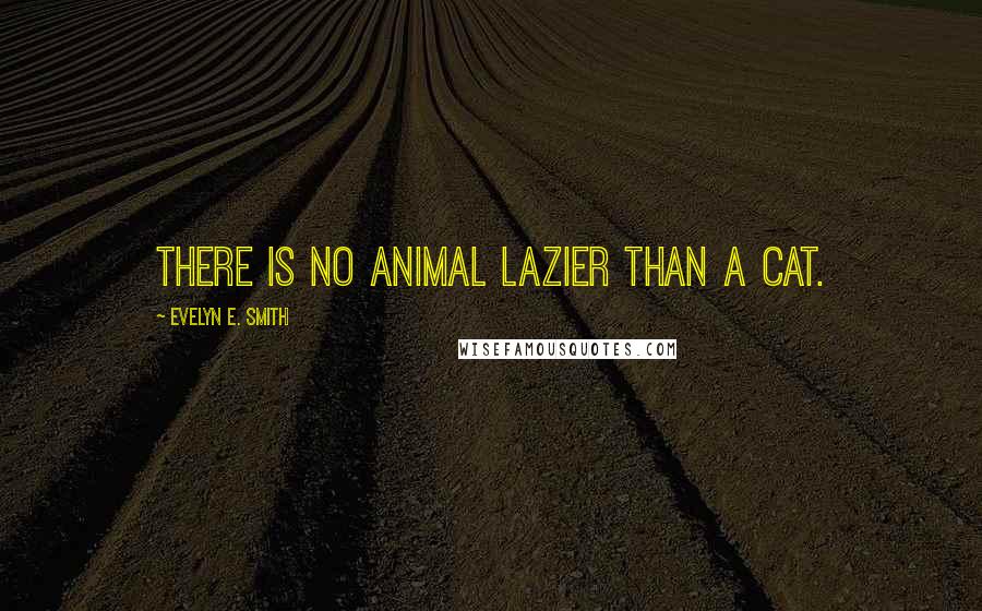 Evelyn E. Smith Quotes: There is no animal lazier than a cat.