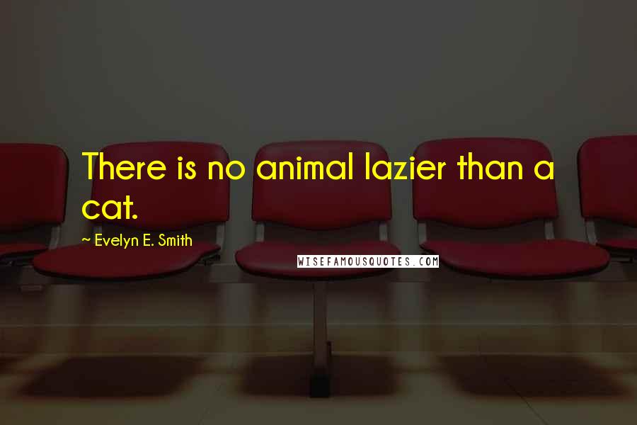 Evelyn E. Smith Quotes: There is no animal lazier than a cat.