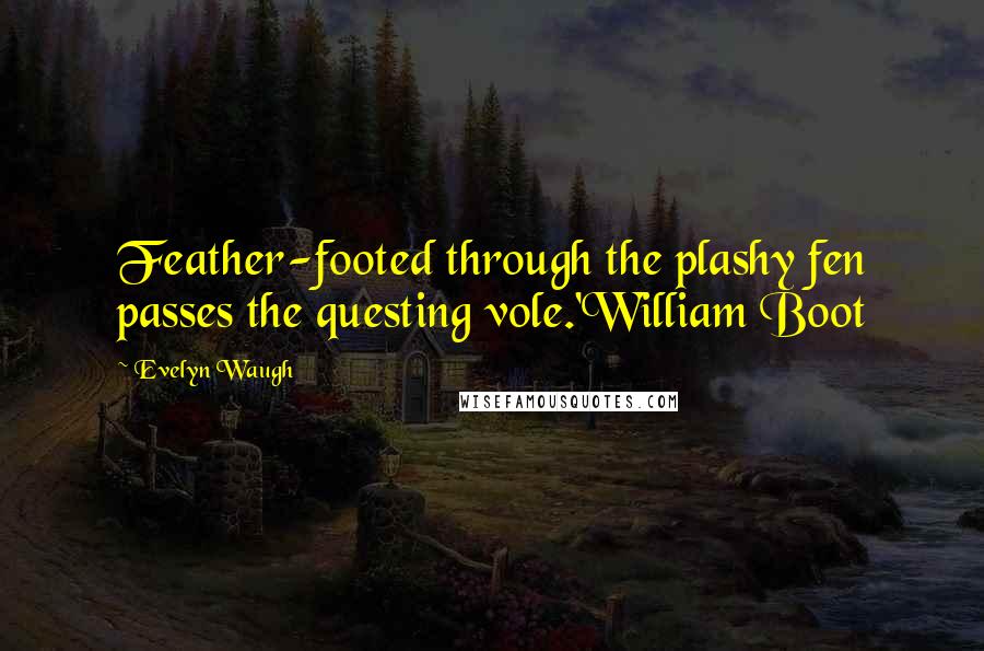 Evelyn Waugh Quotes: Feather-footed through the plashy fen passes the questing vole.'William Boot