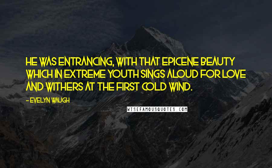 Evelyn Waugh Quotes: He was entrancing, with that epicene beauty which in extreme youth sings aloud for love and withers at the first cold wind.