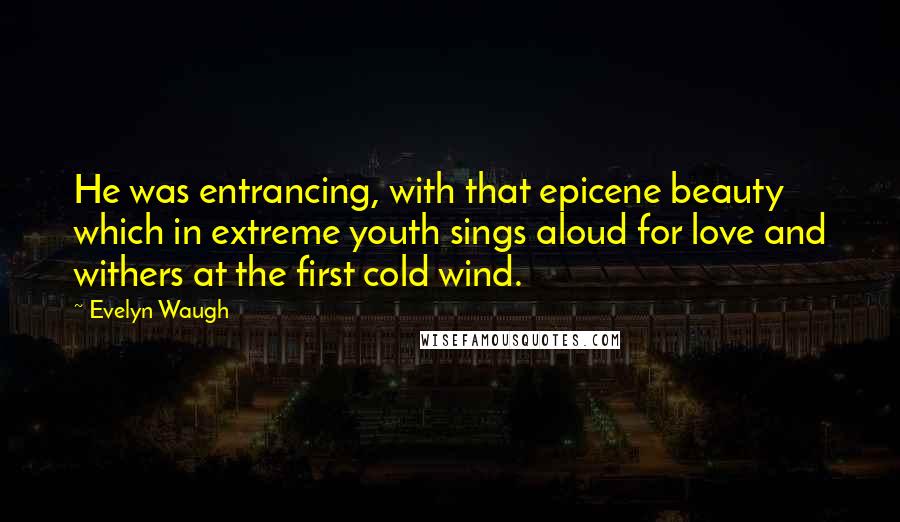 Evelyn Waugh Quotes: He was entrancing, with that epicene beauty which in extreme youth sings aloud for love and withers at the first cold wind.