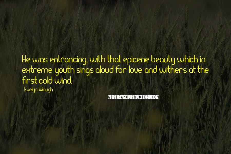 Evelyn Waugh Quotes: He was entrancing, with that epicene beauty which in extreme youth sings aloud for love and withers at the first cold wind.