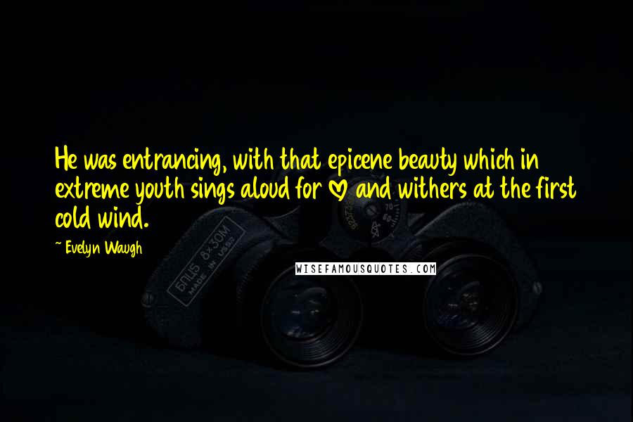 Evelyn Waugh Quotes: He was entrancing, with that epicene beauty which in extreme youth sings aloud for love and withers at the first cold wind.