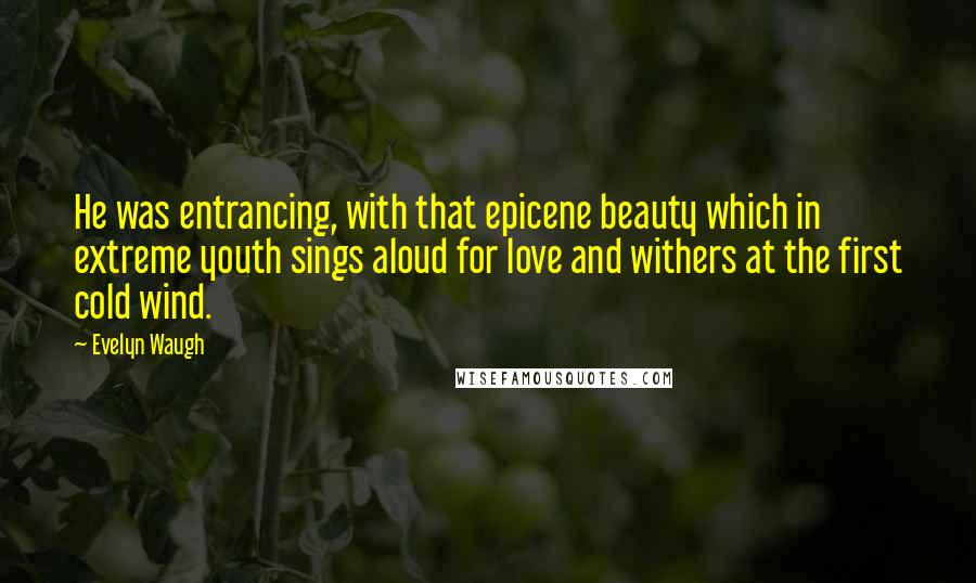 Evelyn Waugh Quotes: He was entrancing, with that epicene beauty which in extreme youth sings aloud for love and withers at the first cold wind.