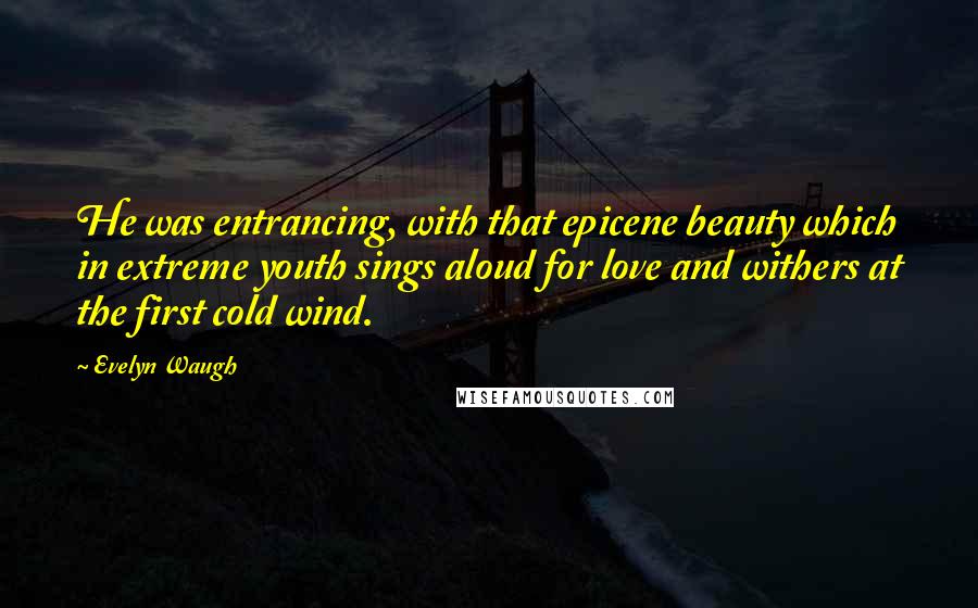 Evelyn Waugh Quotes: He was entrancing, with that epicene beauty which in extreme youth sings aloud for love and withers at the first cold wind.