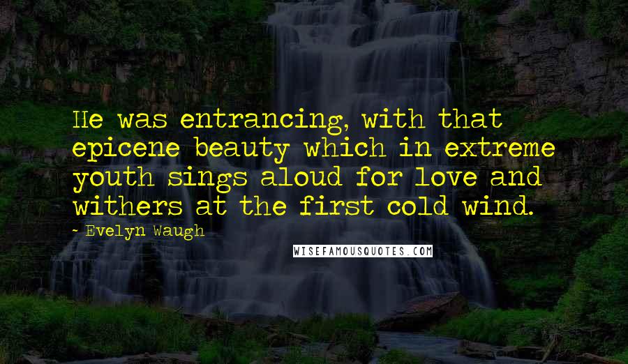 Evelyn Waugh Quotes: He was entrancing, with that epicene beauty which in extreme youth sings aloud for love and withers at the first cold wind.