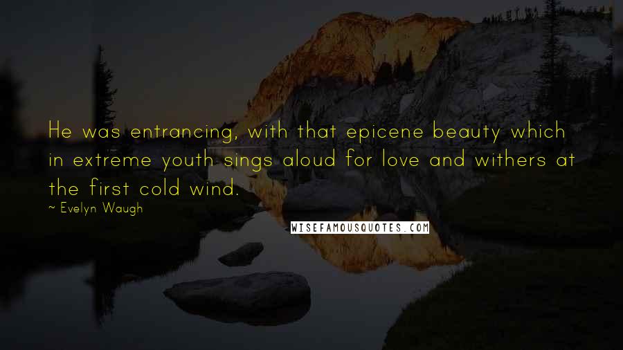 Evelyn Waugh Quotes: He was entrancing, with that epicene beauty which in extreme youth sings aloud for love and withers at the first cold wind.