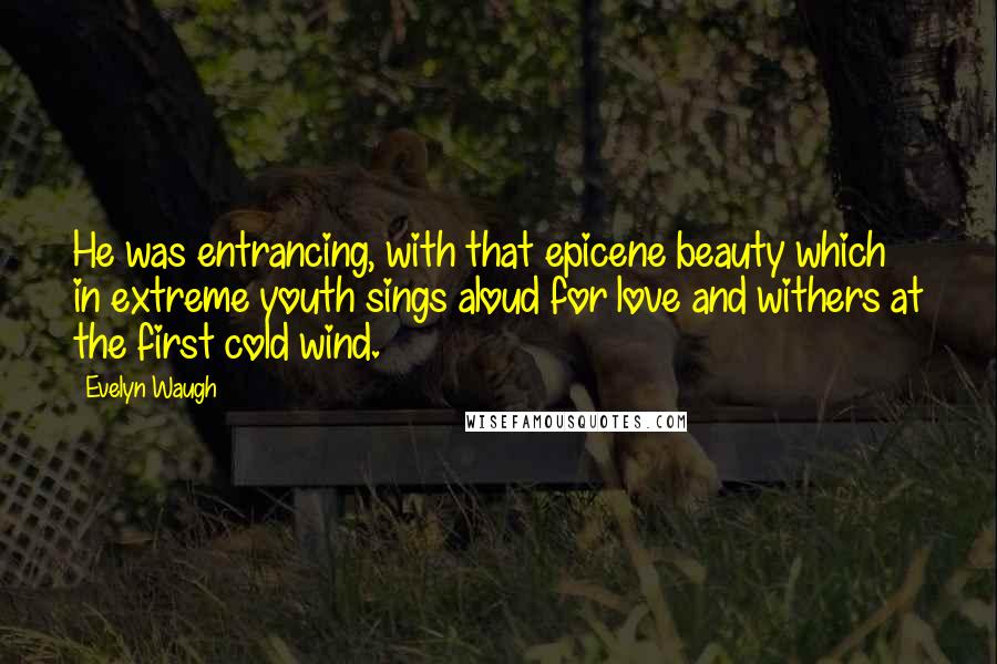 Evelyn Waugh Quotes: He was entrancing, with that epicene beauty which in extreme youth sings aloud for love and withers at the first cold wind.