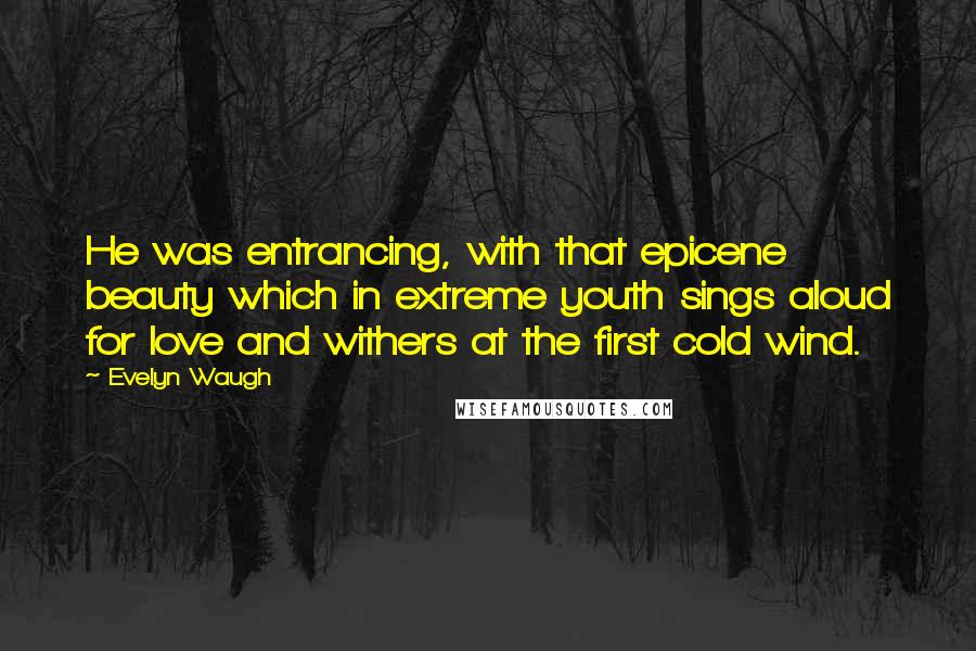 Evelyn Waugh Quotes: He was entrancing, with that epicene beauty which in extreme youth sings aloud for love and withers at the first cold wind.