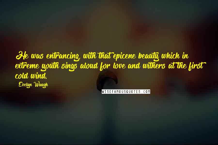 Evelyn Waugh Quotes: He was entrancing, with that epicene beauty which in extreme youth sings aloud for love and withers at the first cold wind.