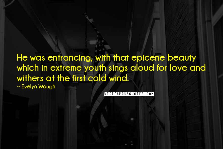 Evelyn Waugh Quotes: He was entrancing, with that epicene beauty which in extreme youth sings aloud for love and withers at the first cold wind.
