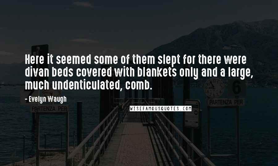 Evelyn Waugh Quotes: Here it seemed some of them slept for there were divan beds covered with blankets only and a large, much undenticulated, comb.