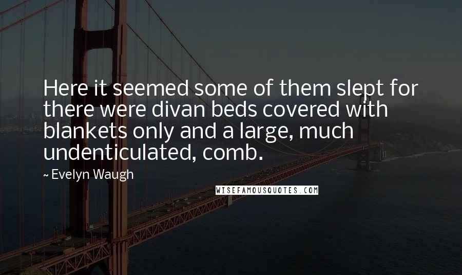 Evelyn Waugh Quotes: Here it seemed some of them slept for there were divan beds covered with blankets only and a large, much undenticulated, comb.