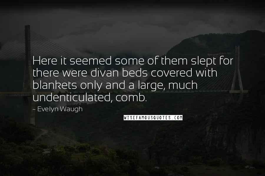 Evelyn Waugh Quotes: Here it seemed some of them slept for there were divan beds covered with blankets only and a large, much undenticulated, comb.