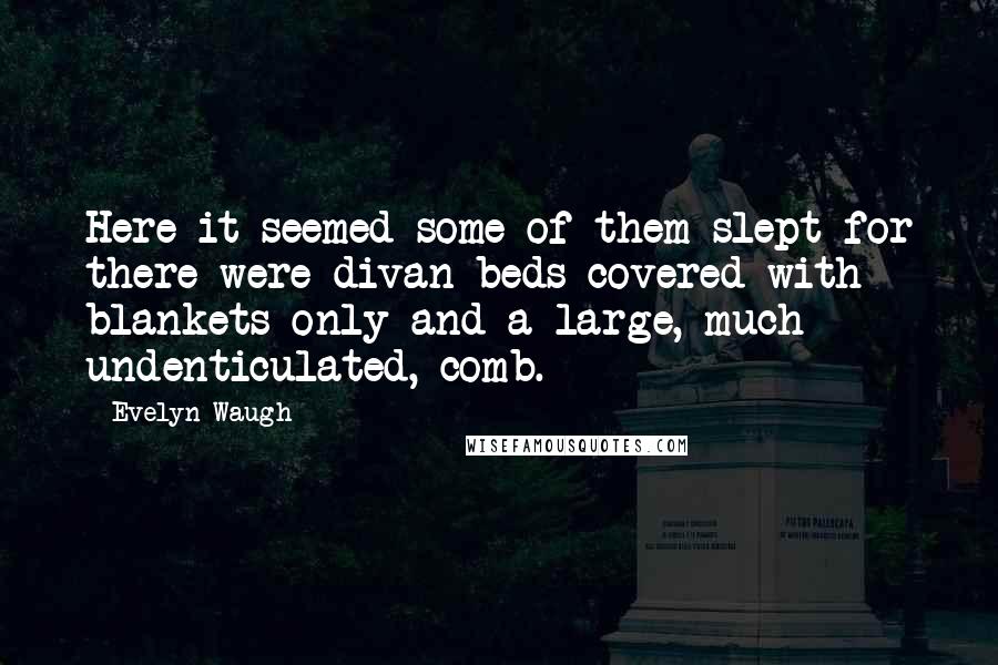 Evelyn Waugh Quotes: Here it seemed some of them slept for there were divan beds covered with blankets only and a large, much undenticulated, comb.