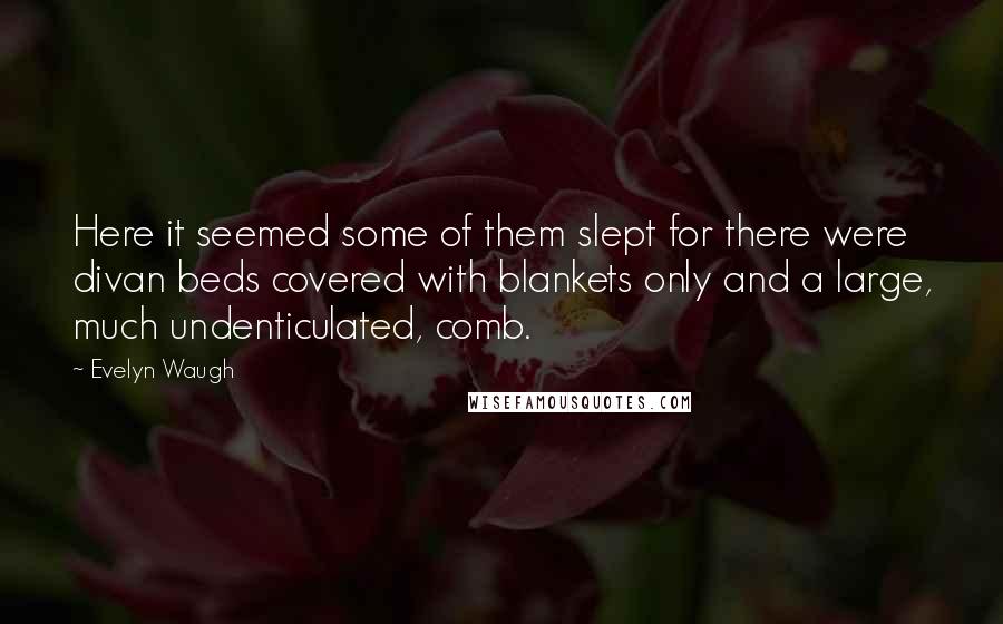 Evelyn Waugh Quotes: Here it seemed some of them slept for there were divan beds covered with blankets only and a large, much undenticulated, comb.