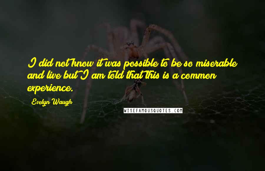 Evelyn Waugh Quotes: I did not know it was possible to be so miserable and live but I am told that this is a common experience.