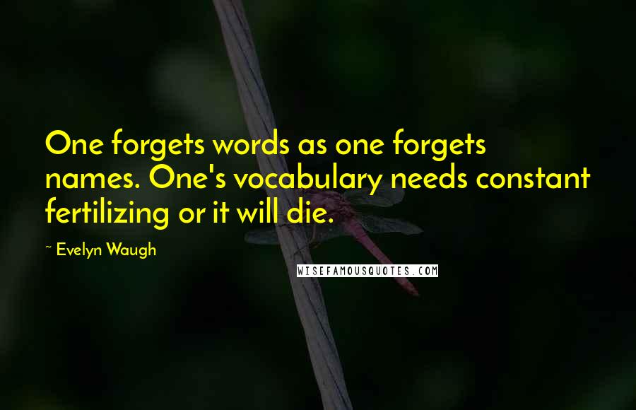 Evelyn Waugh Quotes: One forgets words as one forgets names. One's vocabulary needs constant fertilizing or it will die.