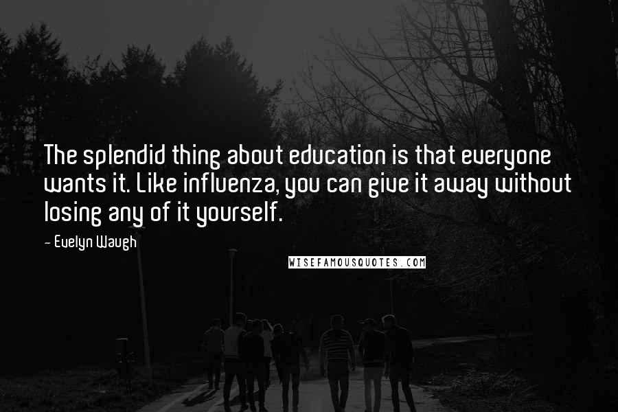 Evelyn Waugh Quotes: The splendid thing about education is that everyone wants it. Like influenza, you can give it away without losing any of it yourself.