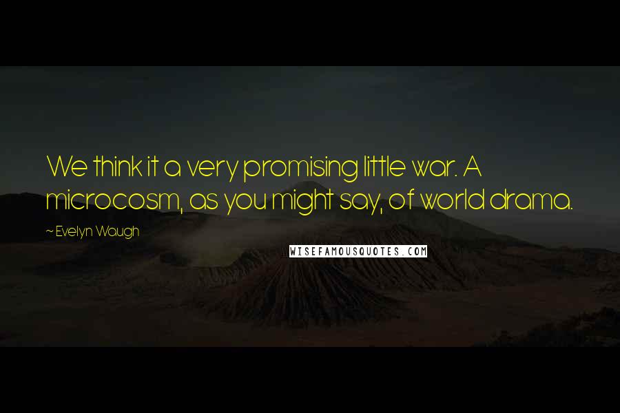 Evelyn Waugh Quotes: We think it a very promising little war. A microcosm, as you might say, of world drama.