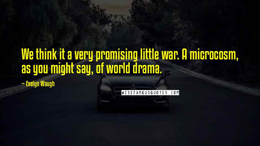 Evelyn Waugh Quotes: We think it a very promising little war. A microcosm, as you might say, of world drama.