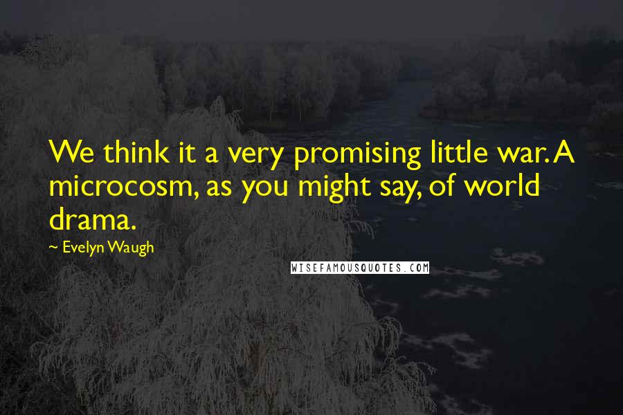 Evelyn Waugh Quotes: We think it a very promising little war. A microcosm, as you might say, of world drama.