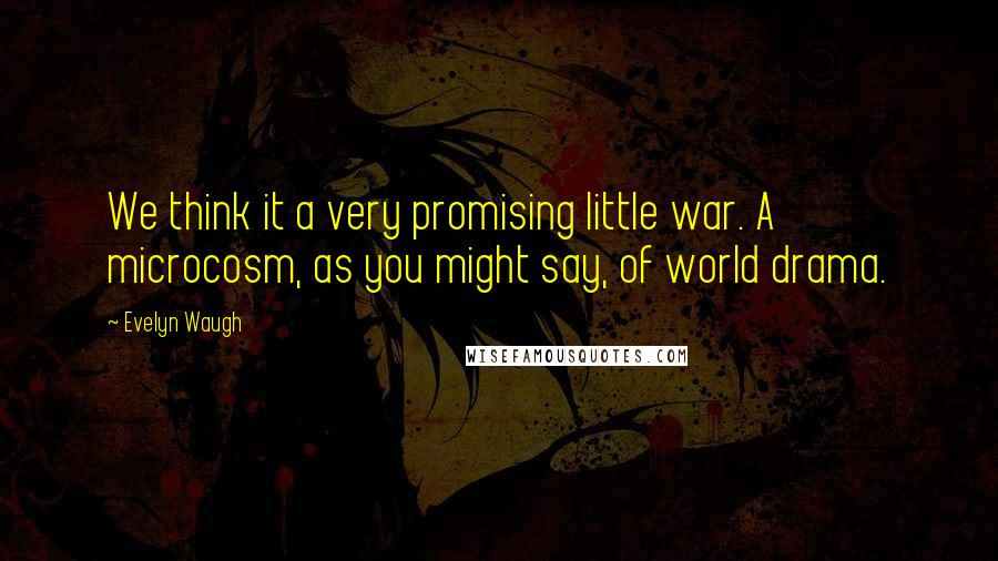 Evelyn Waugh Quotes: We think it a very promising little war. A microcosm, as you might say, of world drama.