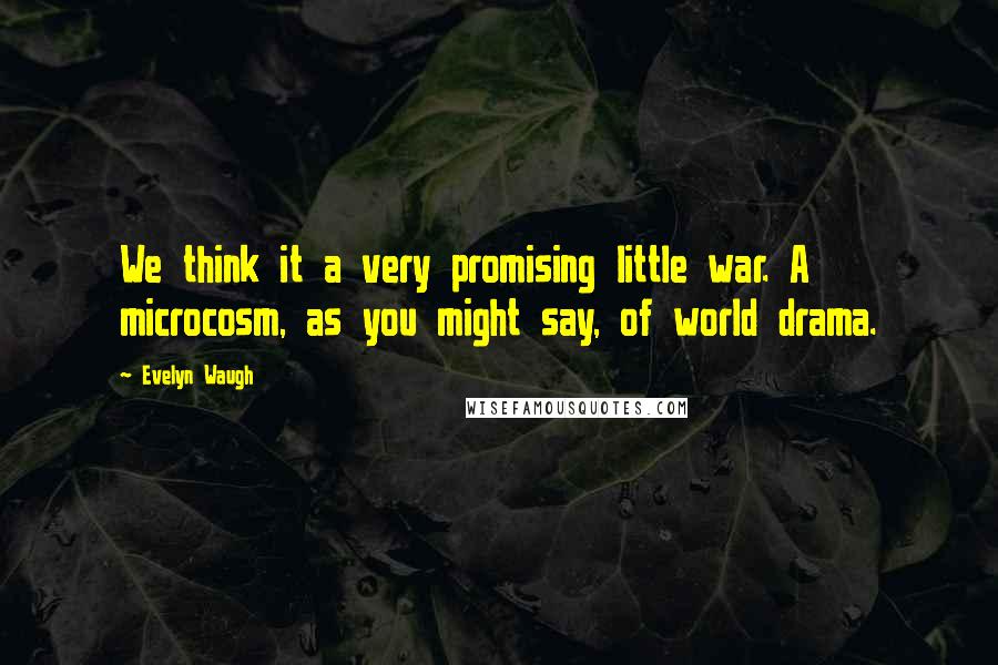 Evelyn Waugh Quotes: We think it a very promising little war. A microcosm, as you might say, of world drama.