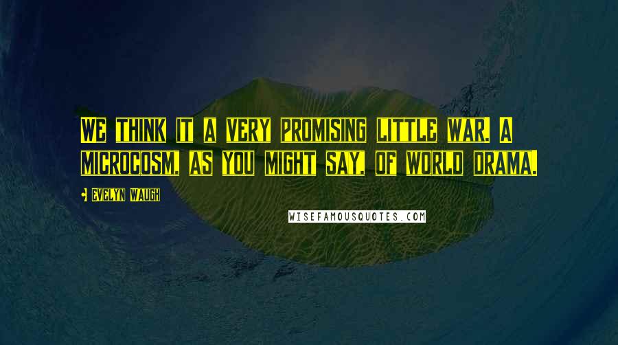 Evelyn Waugh Quotes: We think it a very promising little war. A microcosm, as you might say, of world drama.