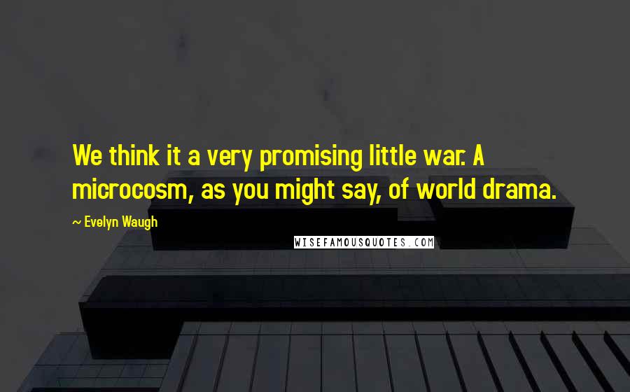 Evelyn Waugh Quotes: We think it a very promising little war. A microcosm, as you might say, of world drama.