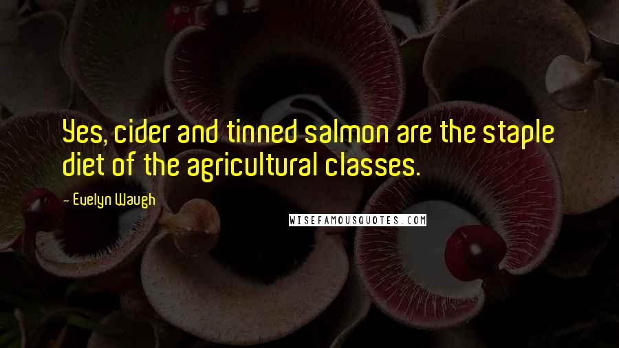 Evelyn Waugh Quotes: Yes, cider and tinned salmon are the staple diet of the agricultural classes.