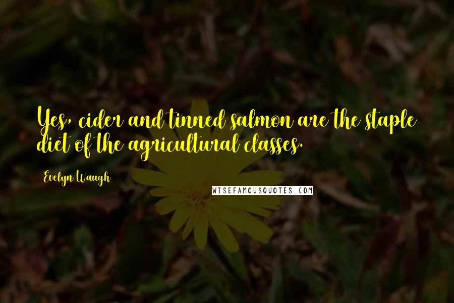 Evelyn Waugh Quotes: Yes, cider and tinned salmon are the staple diet of the agricultural classes.