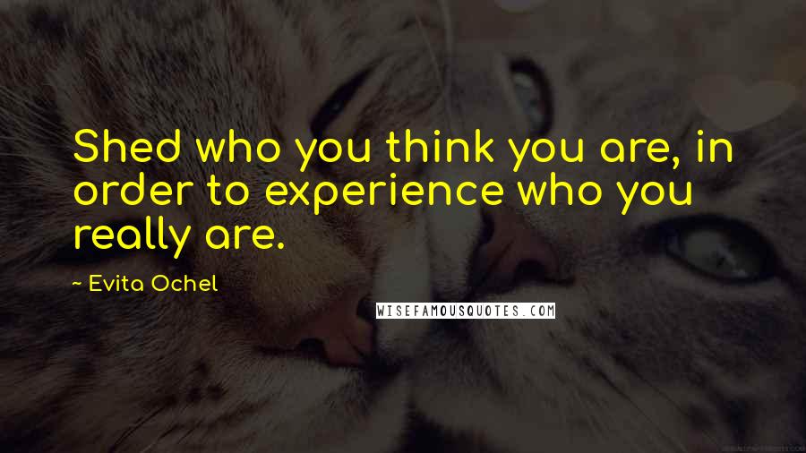 Evita Ochel Quotes: Shed who you think you are, in order to experience who you really are.