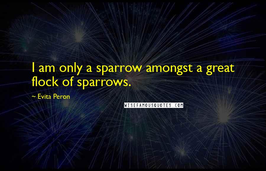 Evita Peron Quotes: I am only a sparrow amongst a great flock of sparrows.