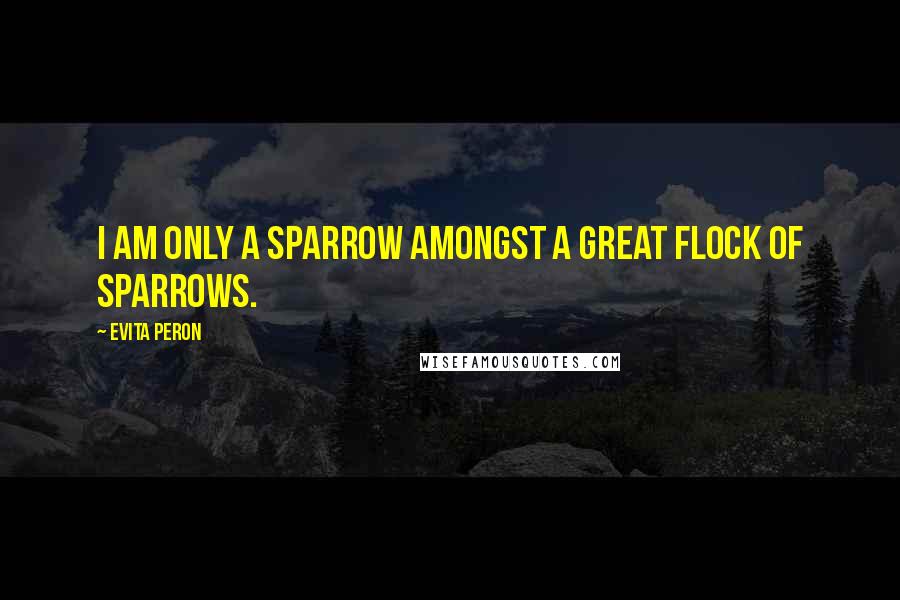 Evita Peron Quotes: I am only a sparrow amongst a great flock of sparrows.