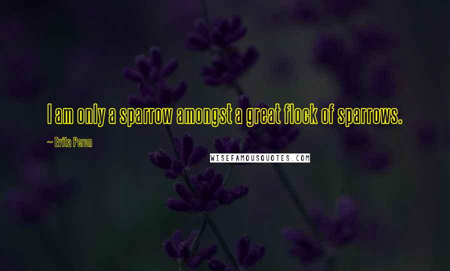 Evita Peron Quotes: I am only a sparrow amongst a great flock of sparrows.