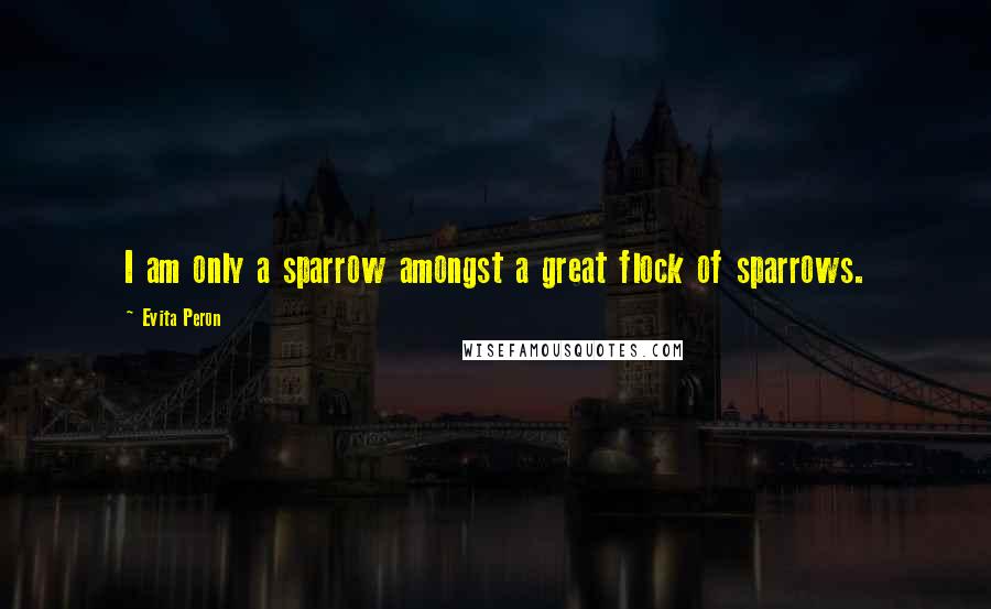 Evita Peron Quotes: I am only a sparrow amongst a great flock of sparrows.