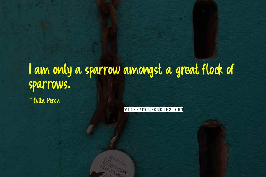 Evita Peron Quotes: I am only a sparrow amongst a great flock of sparrows.