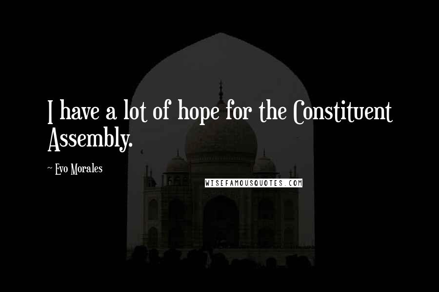 Evo Morales Quotes: I have a lot of hope for the Constituent Assembly.
