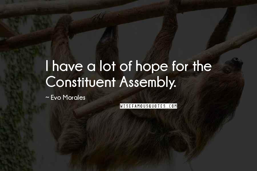 Evo Morales Quotes: I have a lot of hope for the Constituent Assembly.