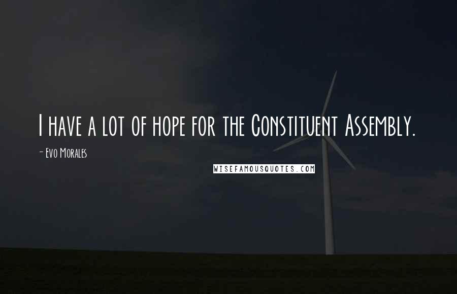Evo Morales Quotes: I have a lot of hope for the Constituent Assembly.