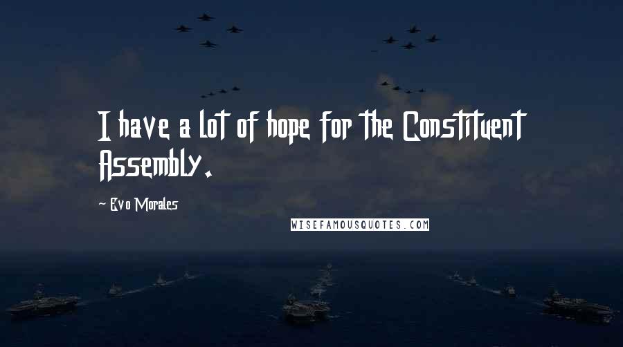 Evo Morales Quotes: I have a lot of hope for the Constituent Assembly.